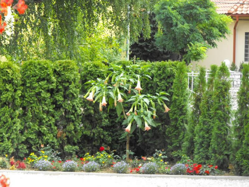 Andrea Villa Heviz I Balaton Exterior foto